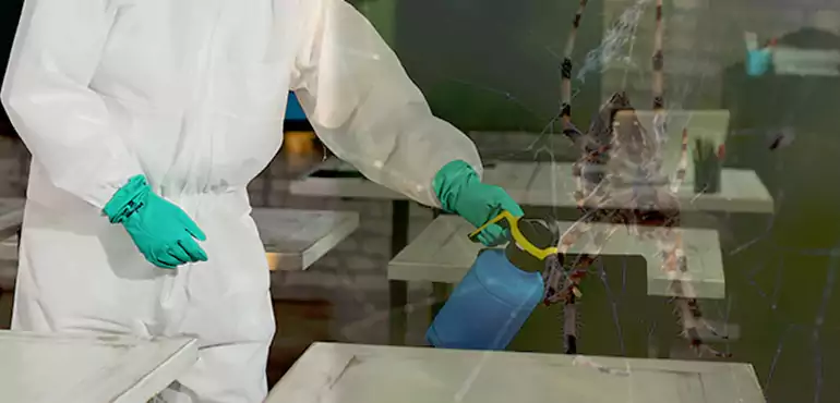 Why Buyers Still Want Homes With Pest Infestations in Minneapolis, MN?