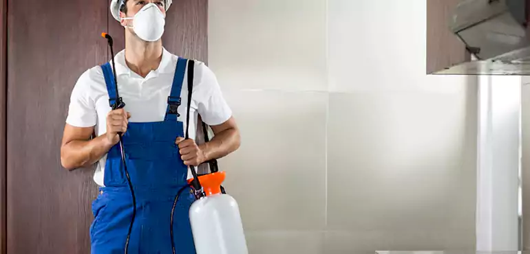 Why Minneapolis Homeowners Choose Us When Pests Make Selling Difficult
